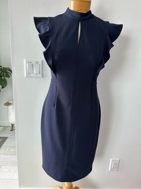 Navy Ruffle-Sleeve Sheath Dress size 4